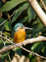 自分が右に動いて絞り込んでみました。