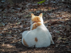 風格のある後ろ姿