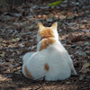 風格のある後ろ姿