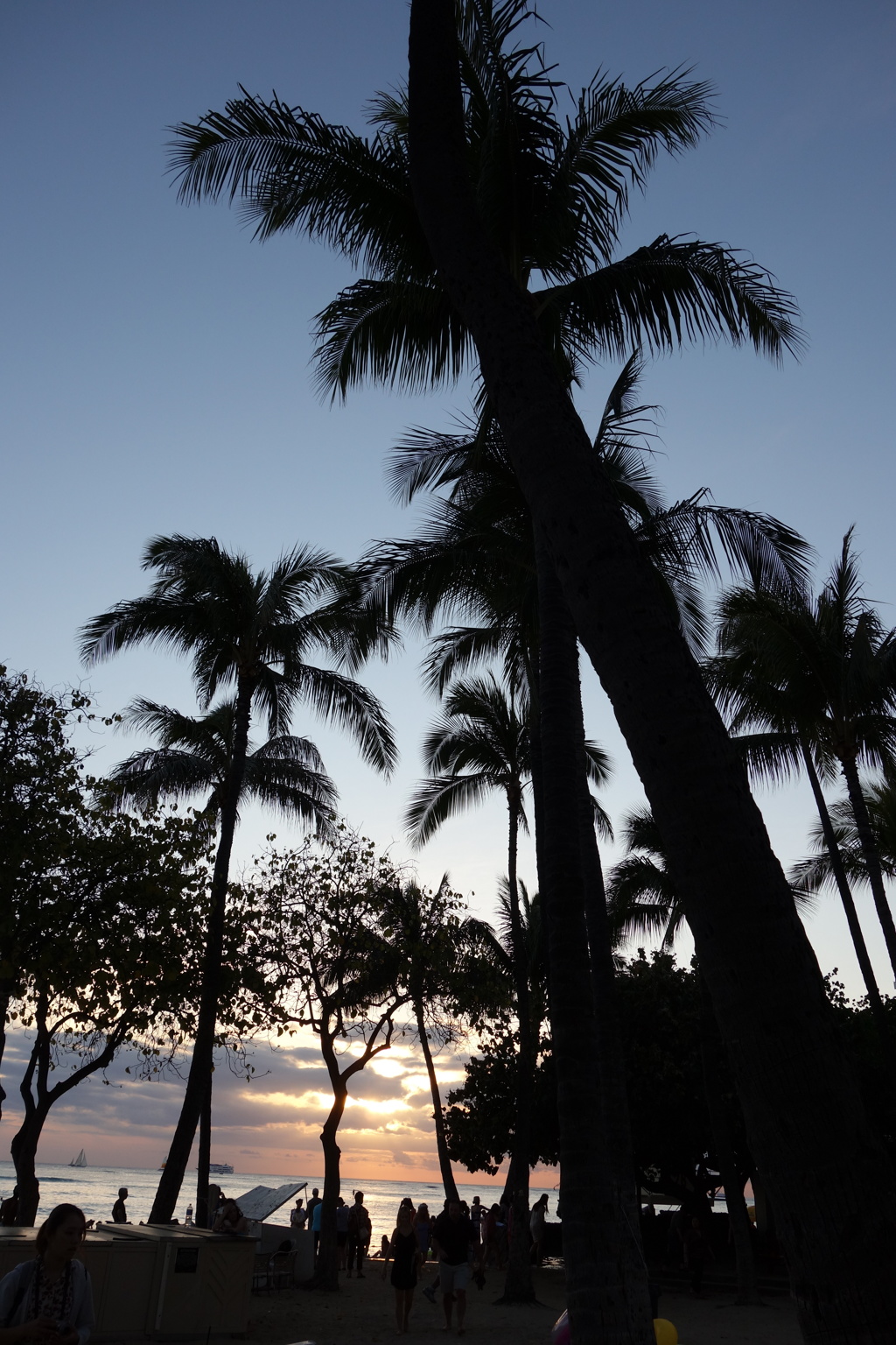 Waikiki beach