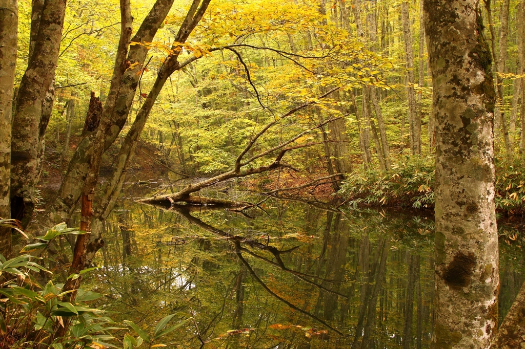 late in autumn no.9