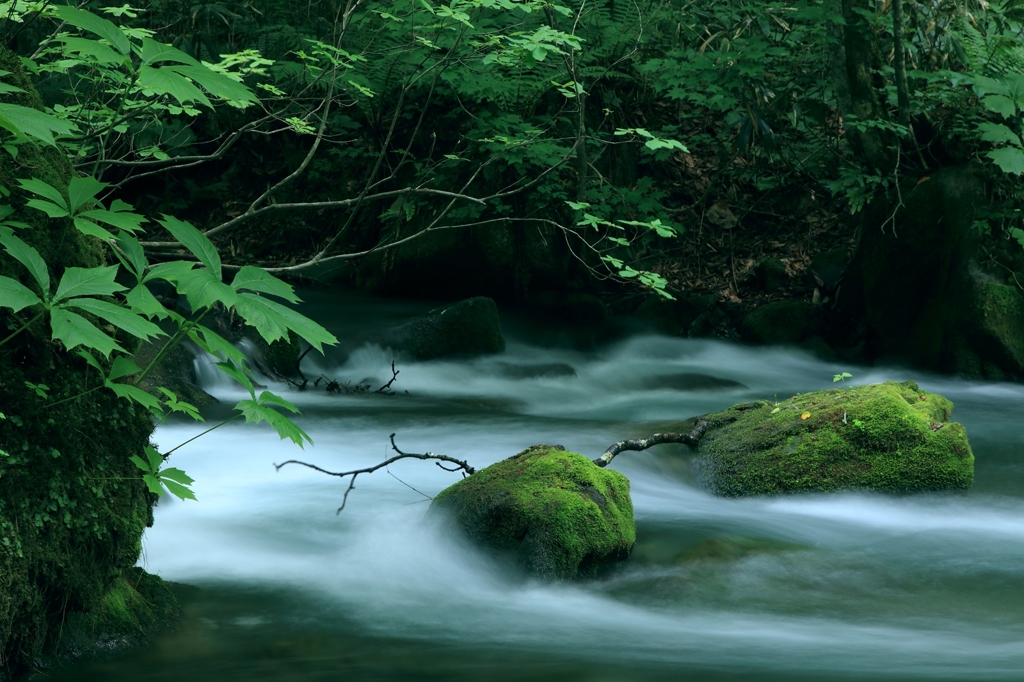 Oirase Mountain Stream v