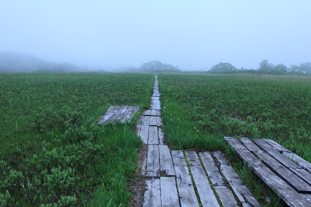 田平湿原の夏