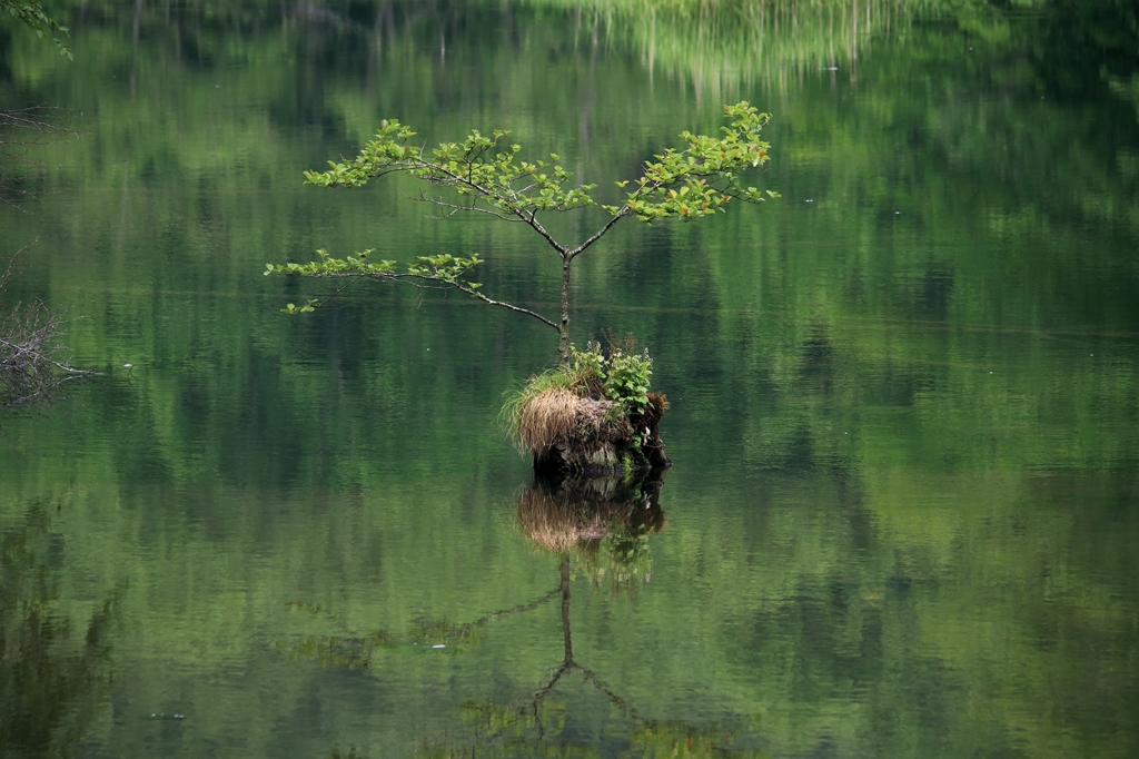 菅沼 ii