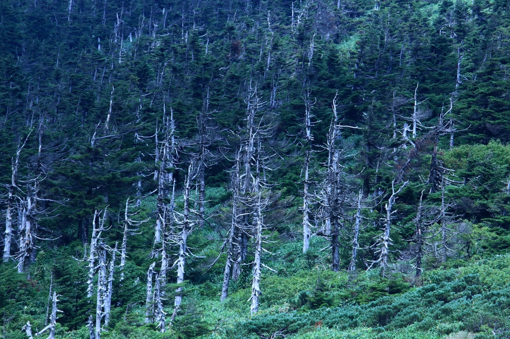 見返峠i
