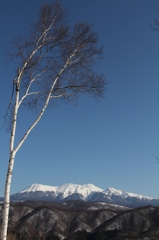 早春の御嶽山