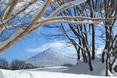 萱野高原