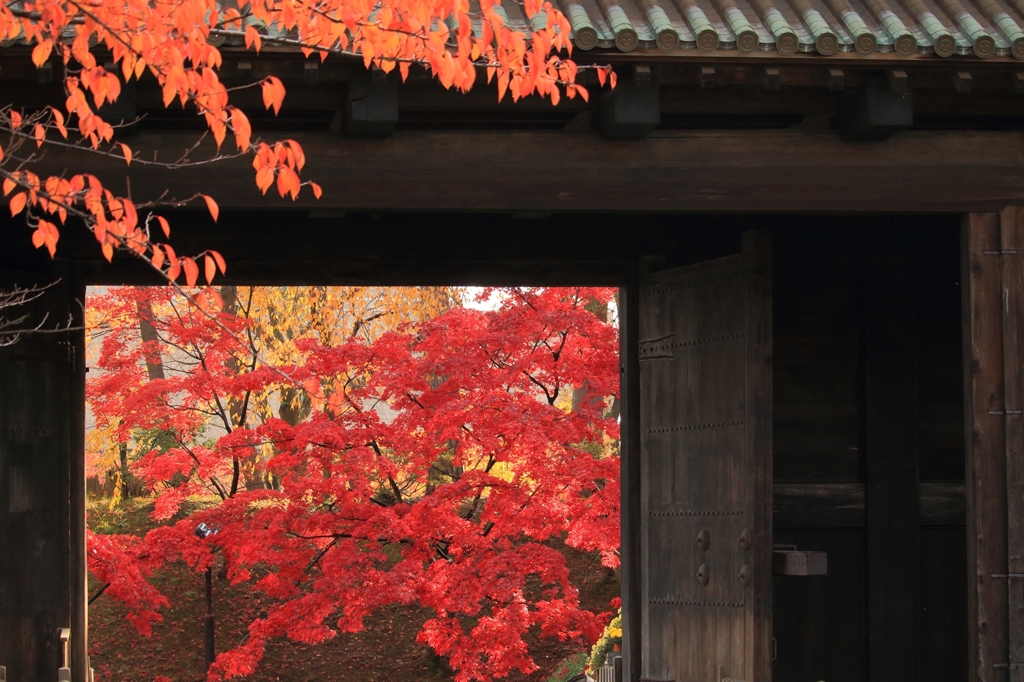 late in autumn no.66