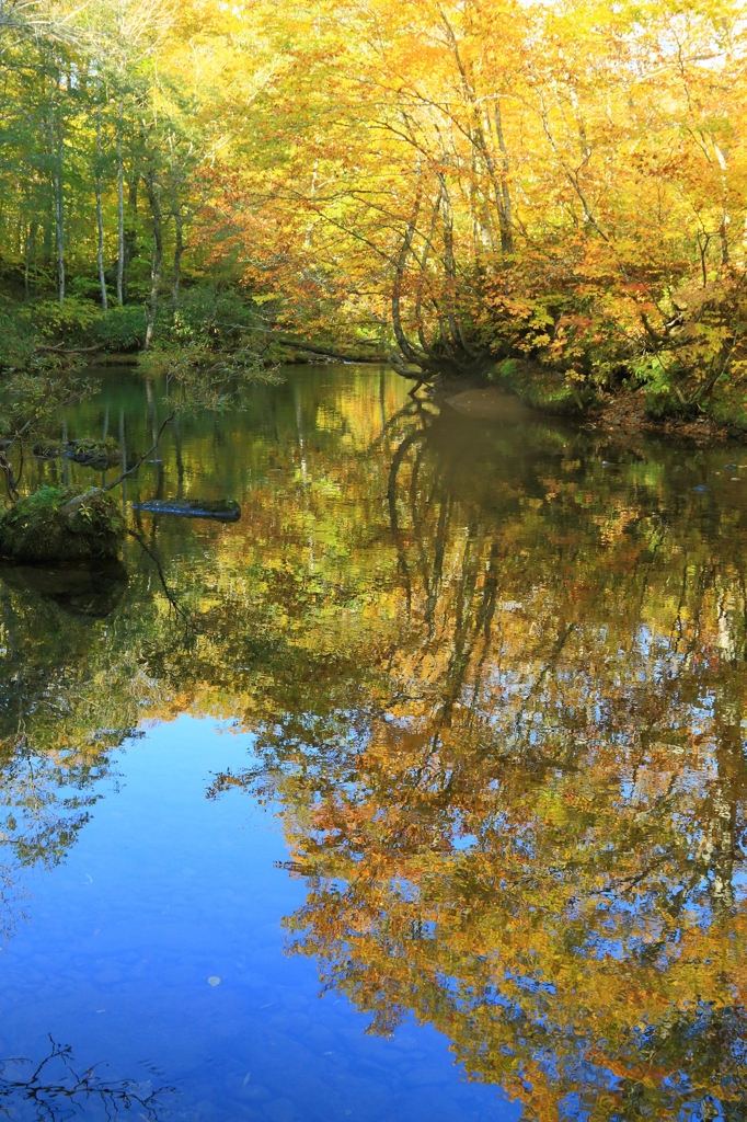 autumn landscape