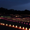 なら燈花会2012