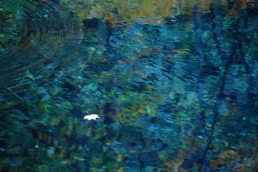 青池