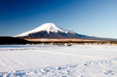 畑から富士山