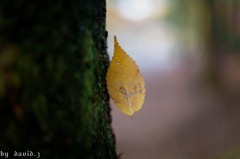 IMG_1751