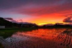 雨上がりの夕焼け