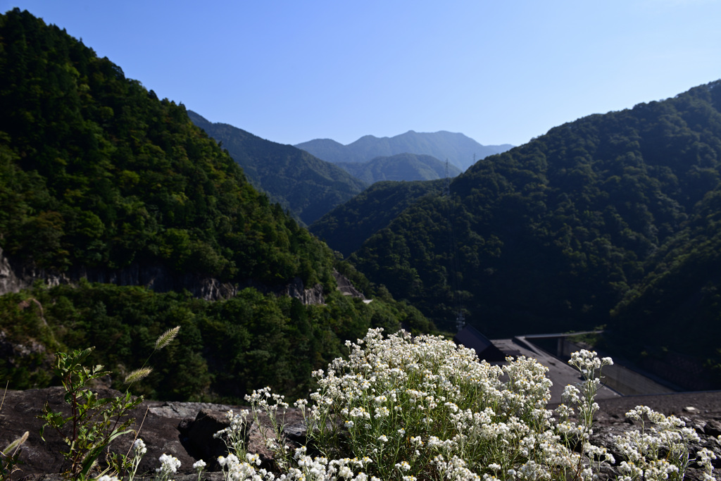 徳山ダムにて