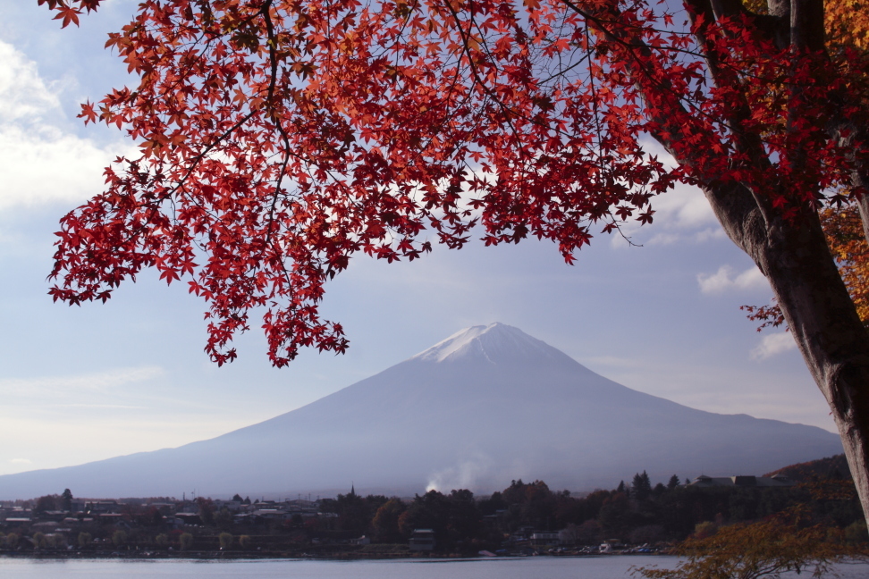 もみじに富士山