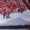 もみじに富士山