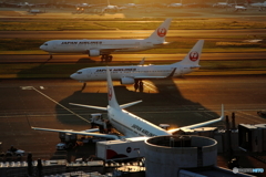 羽田１タミからの夕景