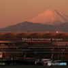 羽田国際ターミナルに富士の山