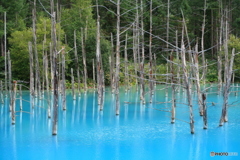 青い池