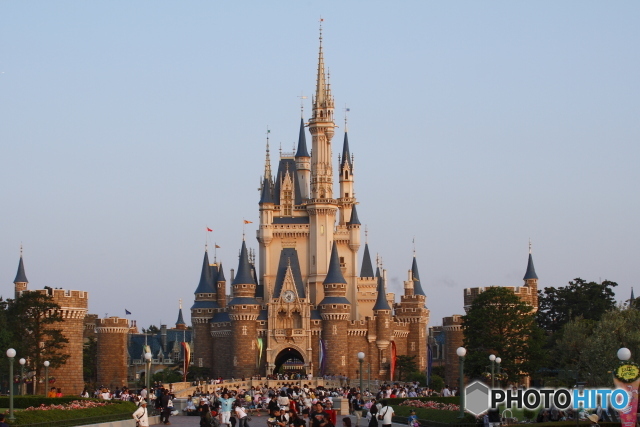 TDL