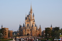 TDL