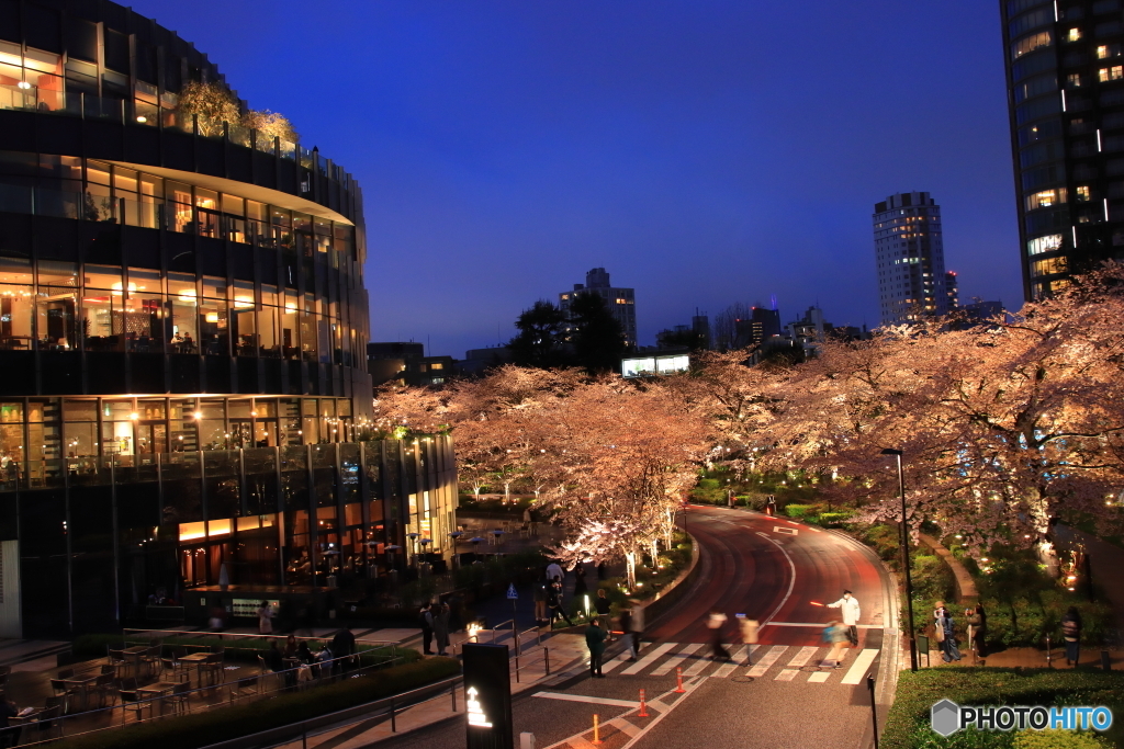 東京ミッドタウン六本木