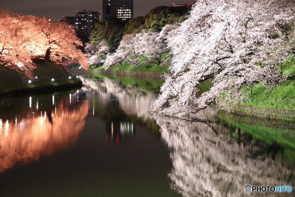 千鳥ヶ淵緑道