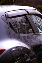 窓ガラスに冬木立