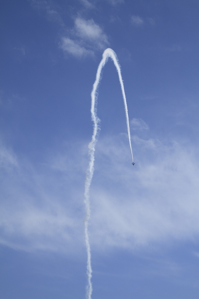 ブルーインパルス2014（入間航空祭）