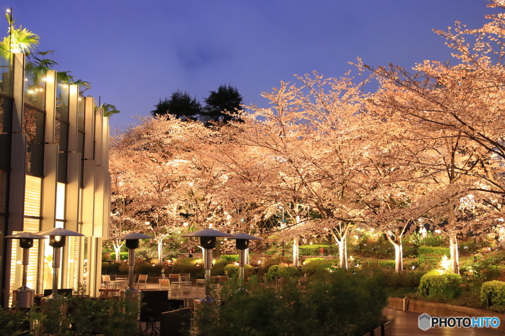 東京ミッドタウン六本木