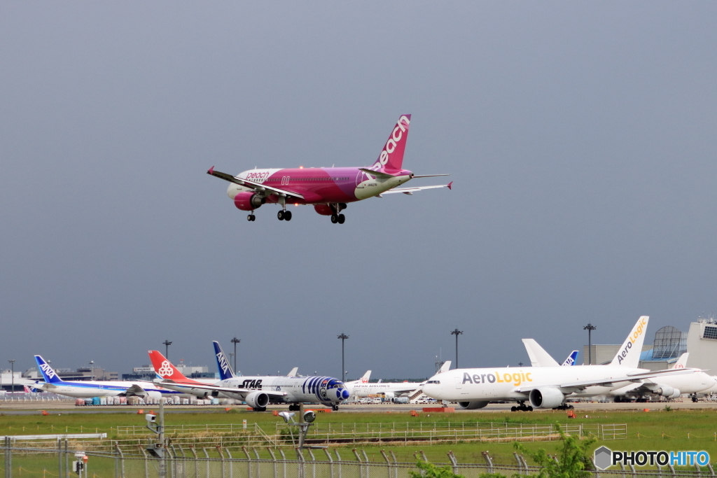 成田空港