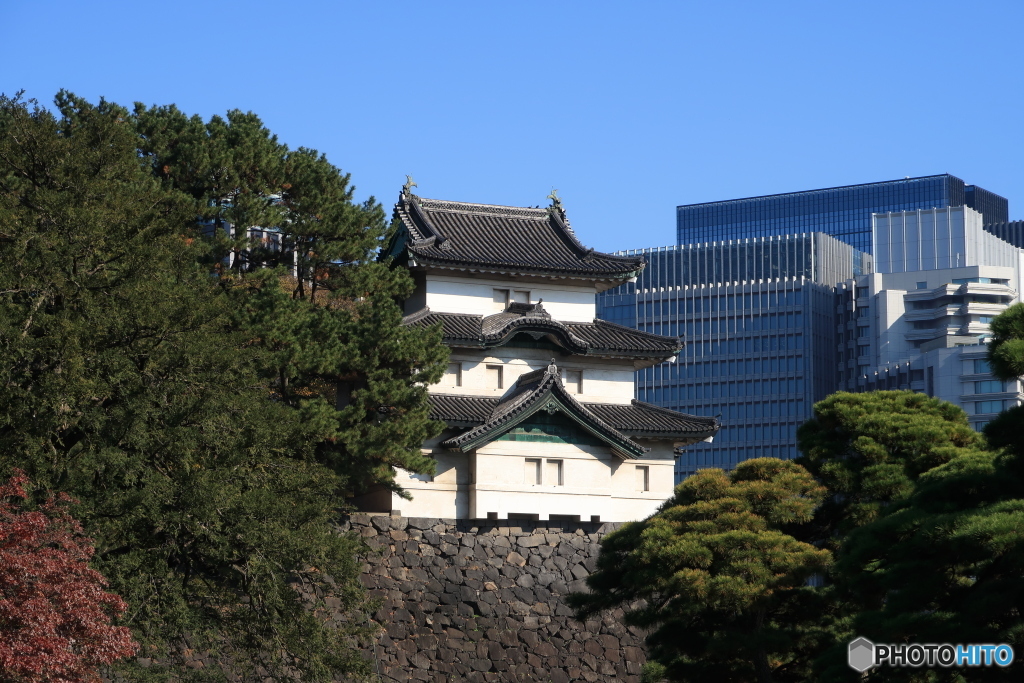 秋の皇居