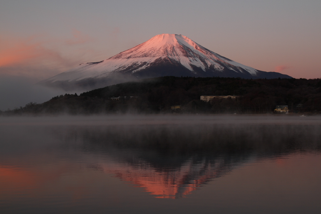 紅富士