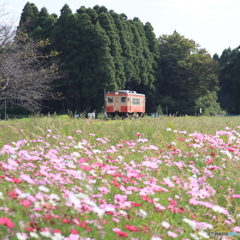 いすみ鉄道