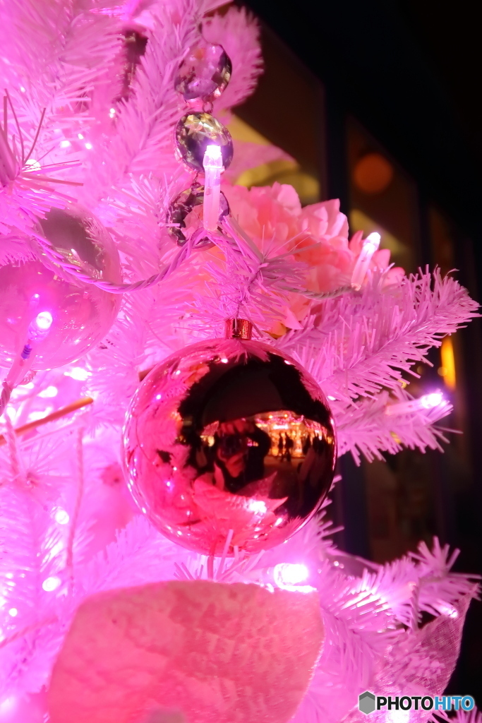 イルミ（新宿2016）