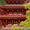 高幡不動尊