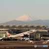 ＥＲＪ－１９５