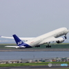 スカンジナビア航空
