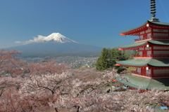 新倉山浅間公園