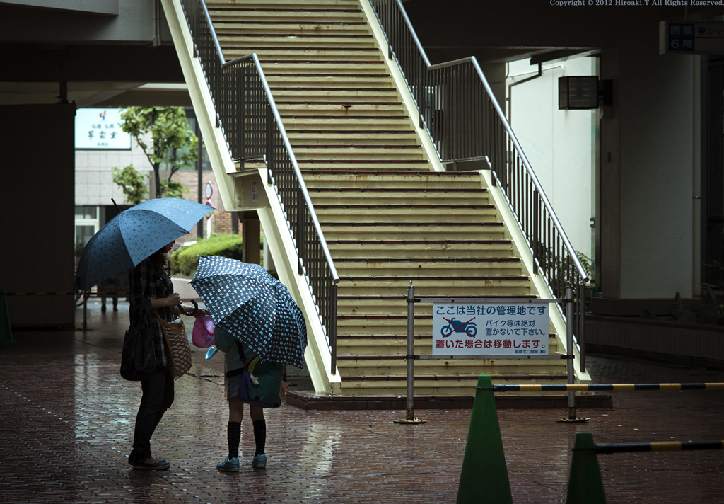 Rainy Season Ⅱ