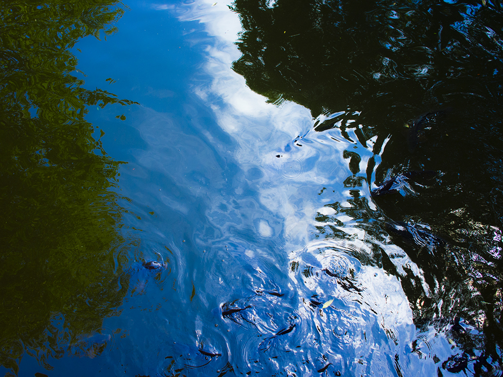 Abstract Photo/No.20120714-Ⅱ