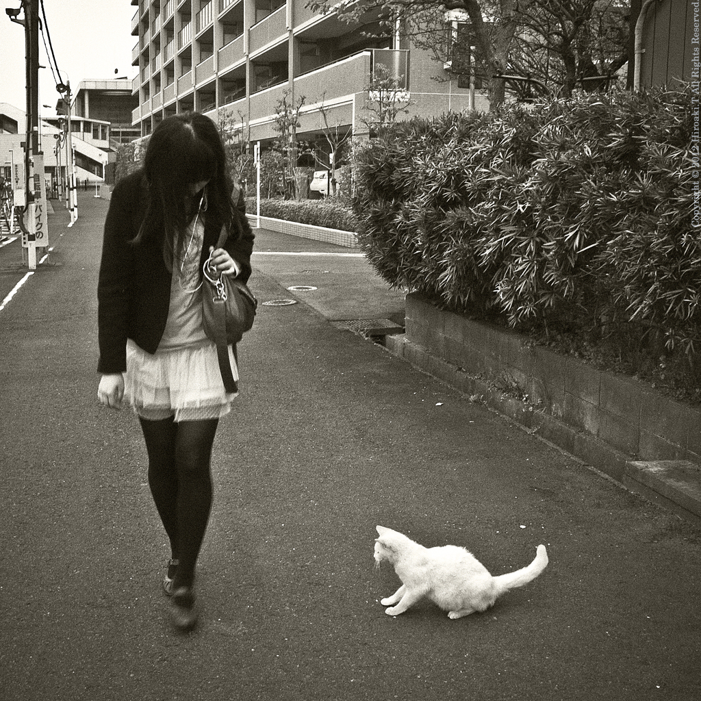 Girl & Cat "goodby"
