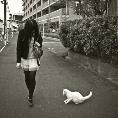 Girl & Cat "goodby"