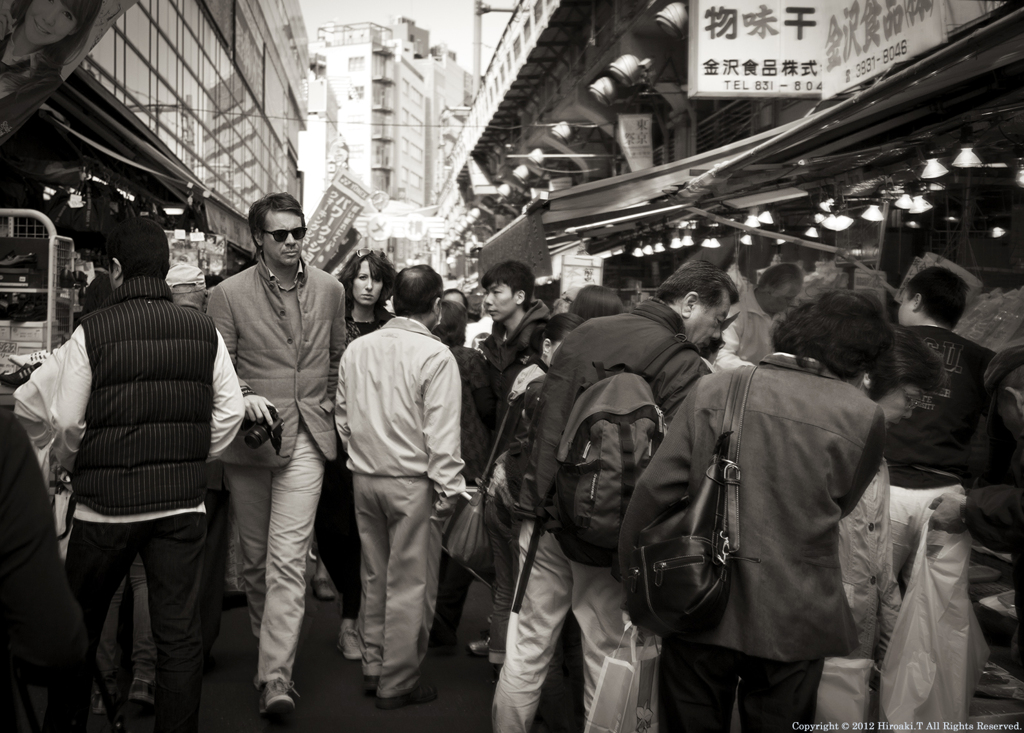 Tourists Ⅱ