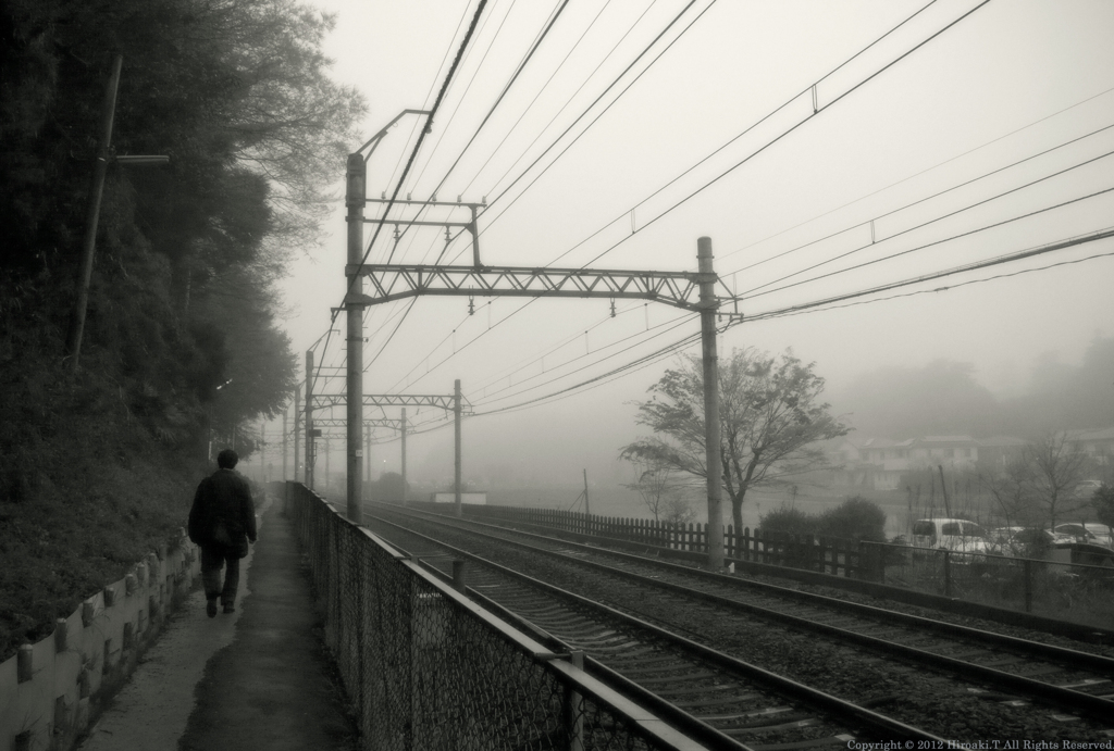 Misty Morning