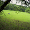 Children at Play Ⅷ