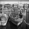 In the Fishing Port Ⅳ