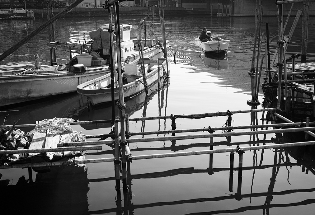 In the Fishing Port Ⅲ