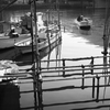 In the Fishing Port Ⅲ